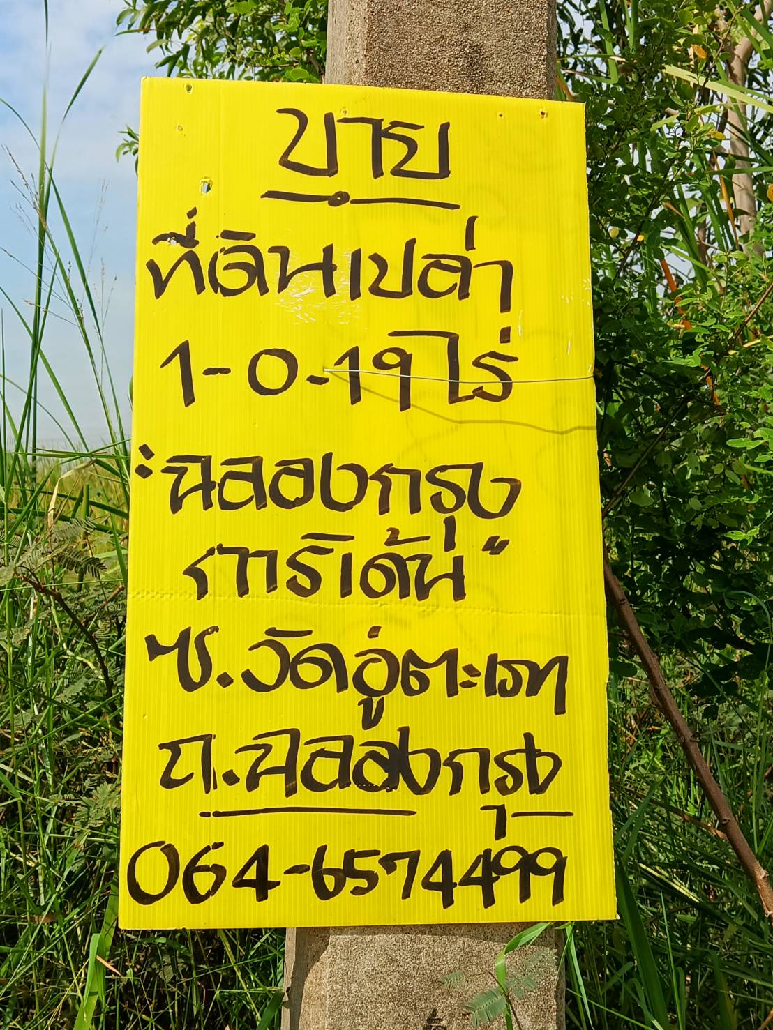 ที่ดินในโครงการฉลองกรุง การ์เด้น ซอยวัดลำผักชี ถนนฉลองกรุง แขวงลำผักชี เขตหนองจอก กรุงเทพ