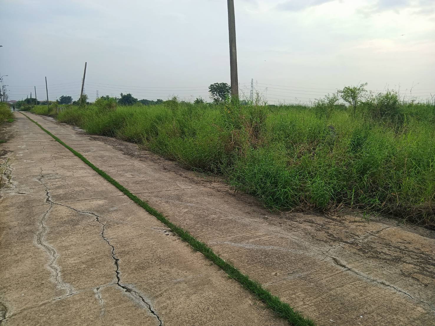 ที่ดินเปล่า ในโครงการฉลองกรุงการ์เด้น ซอยวัดอู่ตะเภา ถนนฉลองกรุงลำผักชี หนองจอก กรุงเทพ